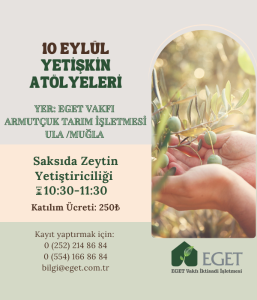 Saksıda Zeytin Yetiştiriciliği Atölyesi. ürün görseli
