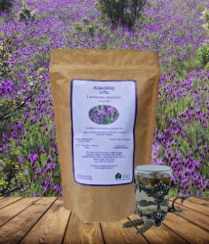 Resim Karabaş Otu (Lavandula stoechas L.)-65 g