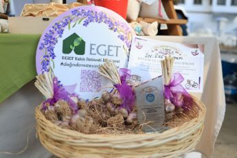 Resim Coğrafi İşaretli Ula Sarımsağı